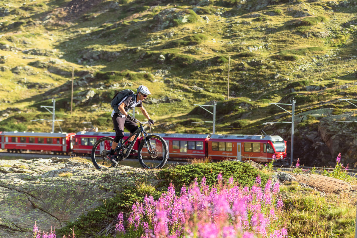 mtb-tour-altarezia-up-down-8
