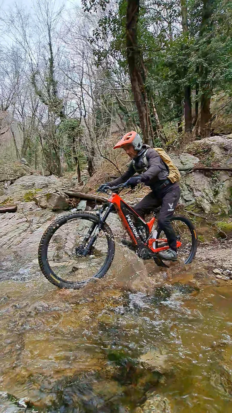 Rider crossing a woodland stream
