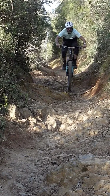 Rider descending a woodland trail