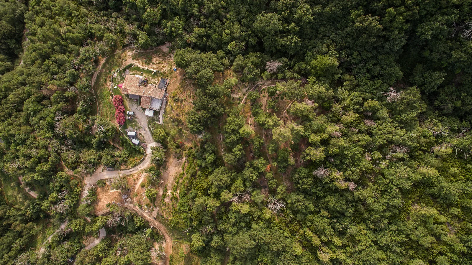 Aerial view of the property surrounded by woodland