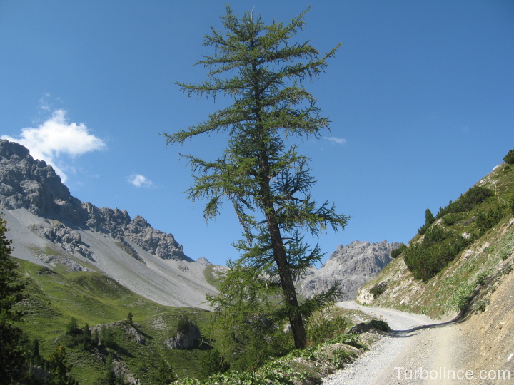 Dreilandertour Monutainbike Alps 29